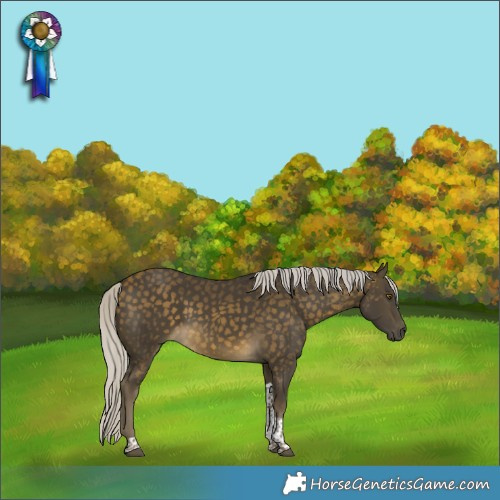 Horse Color:Silver Buckskin Tobiano
