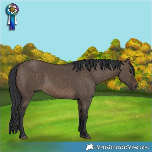 Horse Color:Brown Dun