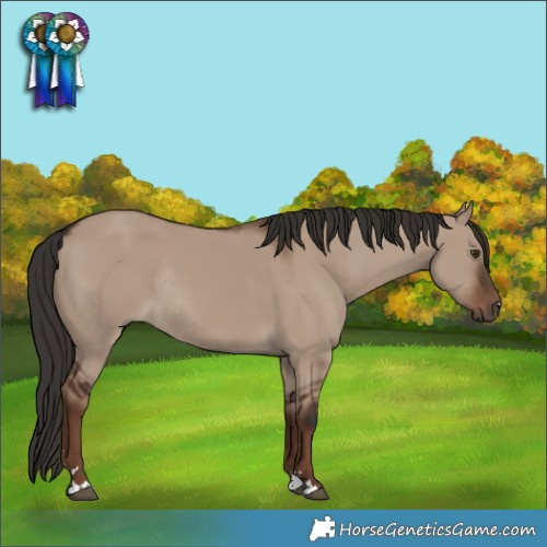 Horse Color:Liver Red Dun Rabicano 