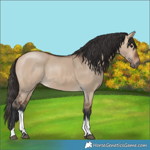 Horse Color:Bay Dun Tobiano Rabicano