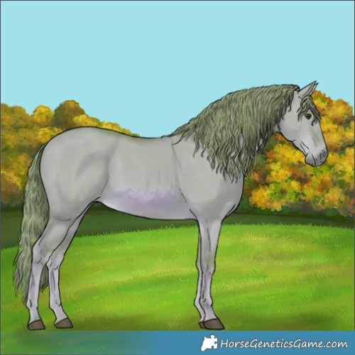 Horse Color:Void Watercolor Red Dun