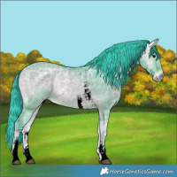 Horse Color:Void Watercolor Bay Ice Onyx Sabino 