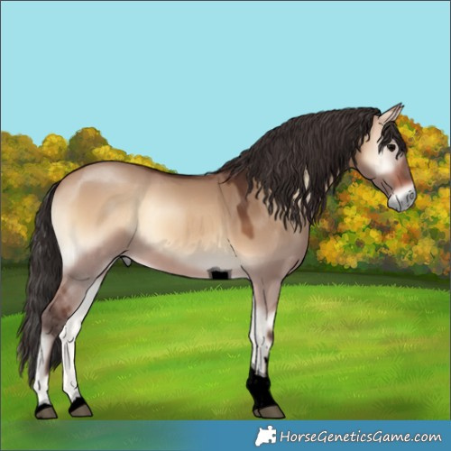 Horse Color:Void Bay Onyx Tobiano