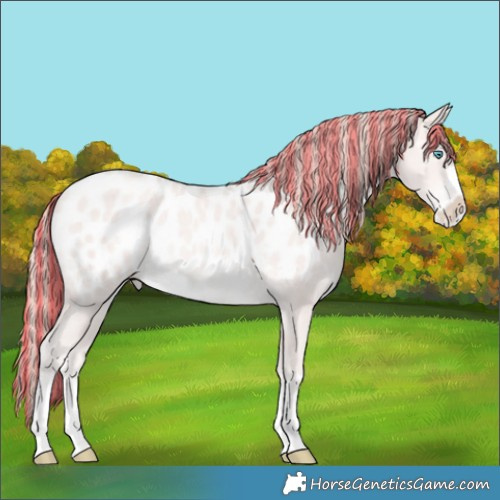 Horse Color:Painted Perlino Blanket