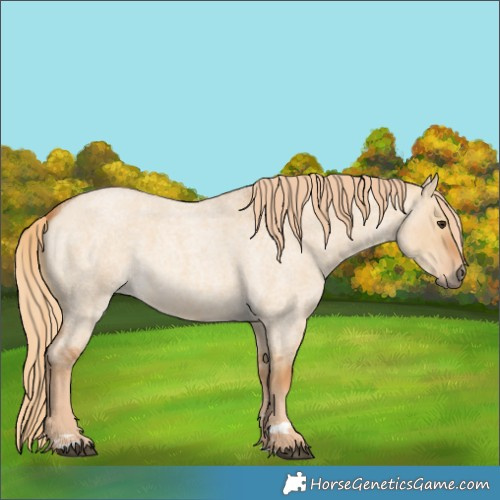 Horse Color:Red Dun Roan