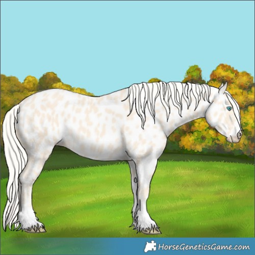 Horse Color:Cremello Near Leopard