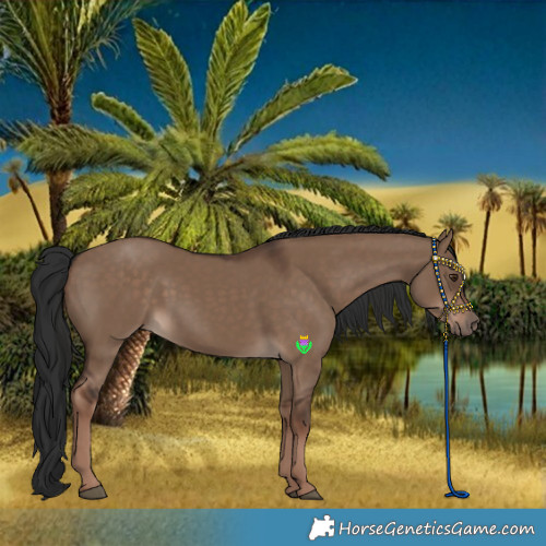 Horse Color:Liver Red Dun Rabicano
