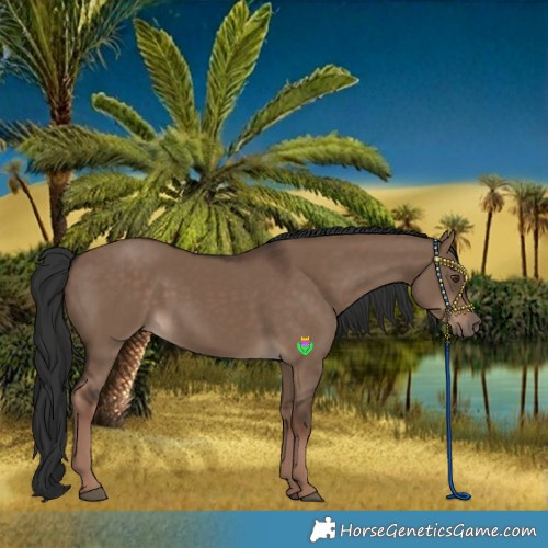 Horse Color:Liver Red Dun Rabicano