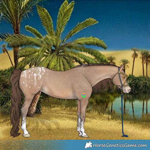 Horse Color:Amber Champagne Sabino Tobiano Blanket and Amber Champagne Sabino Tobiano Varnish