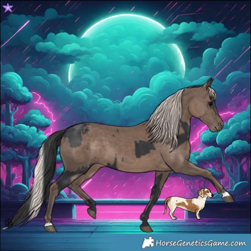 Horse Color:Black and Silver Black