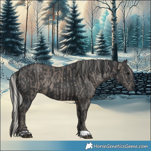 Horse Color:Silver Black and Black