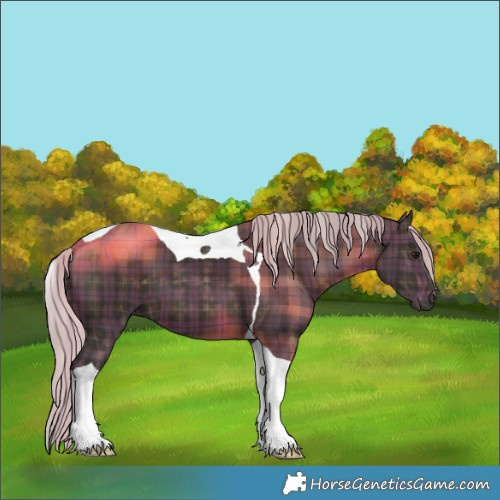 Horse Color:Plaid Silver Brown Tobiano
