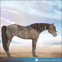 Horse Color:Black  and Classic Champagne 