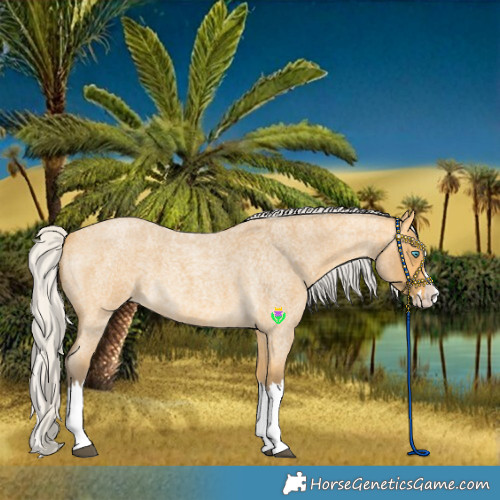 Horse Color:Silver Buckskin Roan Splash