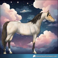 Horse Color:Buckskin Roan 