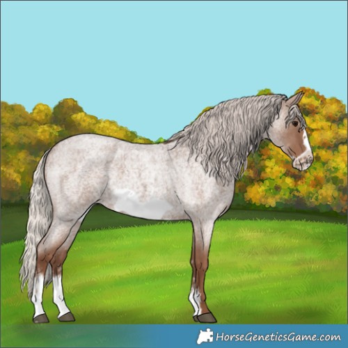 Horse Color:Unknown 