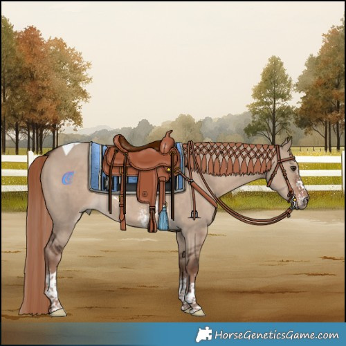Horse Color:Liver Red Dun Sabino Tobiano 