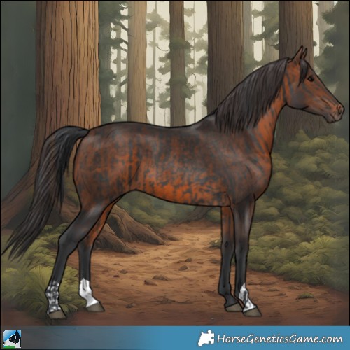 Horse Color:Black and Brown