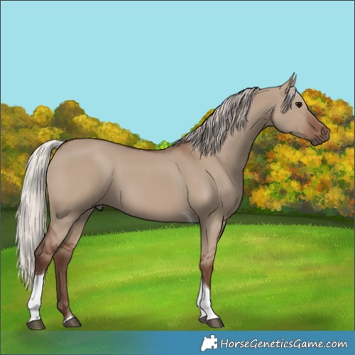 Horse Color:Silver Grullo Tobiano