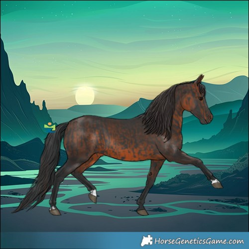 Horse Color:Black and Brown