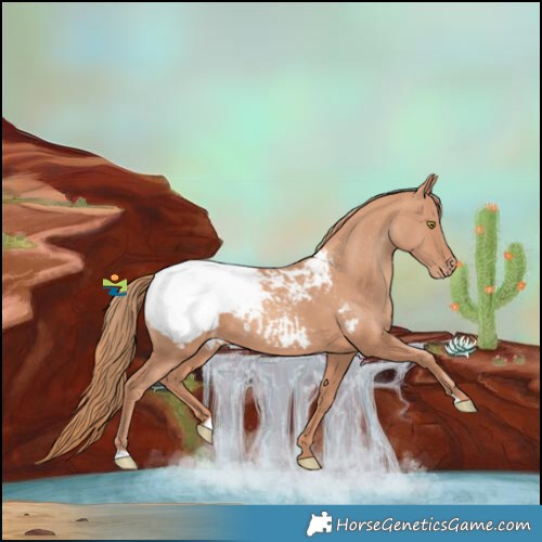 Horse Color:Gold Champagne Snowcap