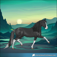 Horse Color:Black Splash 