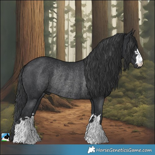 Horse Color:Black Rabicano 