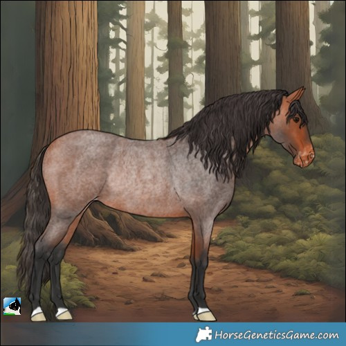 Horse Color:Bay Roan Appaloosa Rabicano 