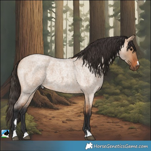 Horse Color:Bay Roan Dun