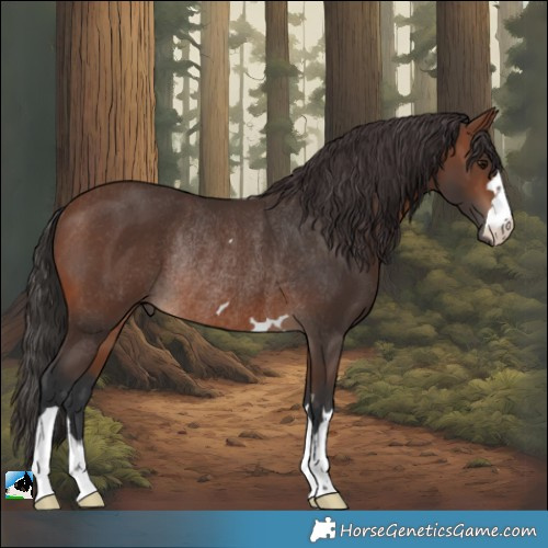 Horse Color:Brown Rabicano 