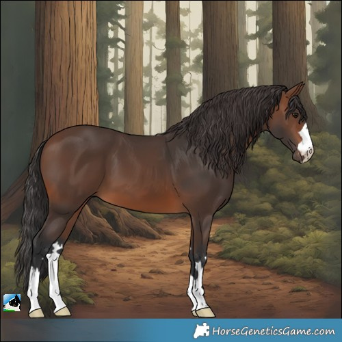 Horse Color:Brown