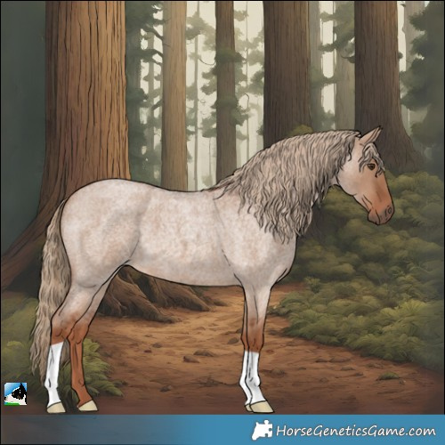 Horse Color:Red Dun Roan 