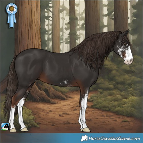 Horse Color:Liver Chestnut Sabino 