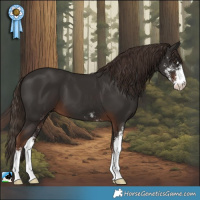 Horse Color:Liver Chestnut Sabino 