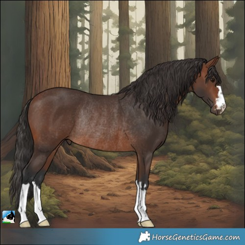Horse Color:Brown Rabicano