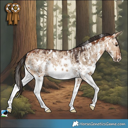 Horse Color:Bay Dun Sabino Rabicano Brindle 
