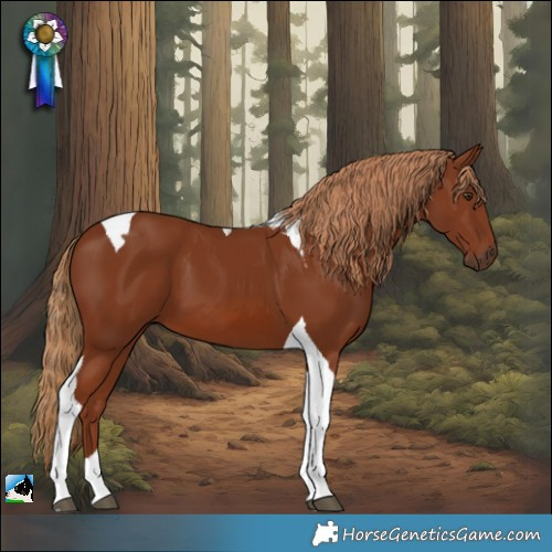 Horse Color:Chestnut Tobiano 