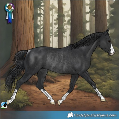 Horse Color:Black Rabicano