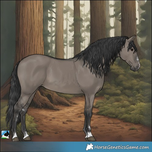 Horse Color:Grullo 