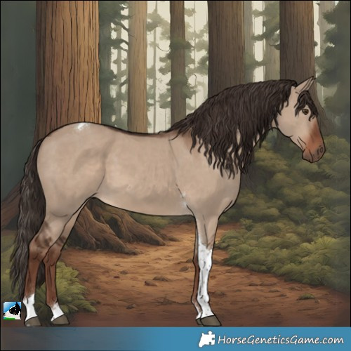 Horse Color:Liver Red Dun Tobiano 
