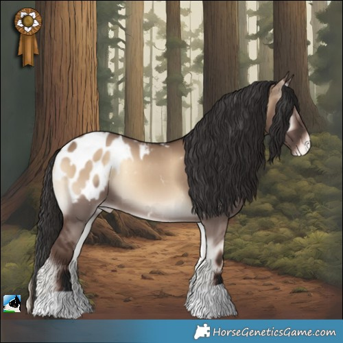 Horse Color:Liver Red Dun Onyx Appaloosa 