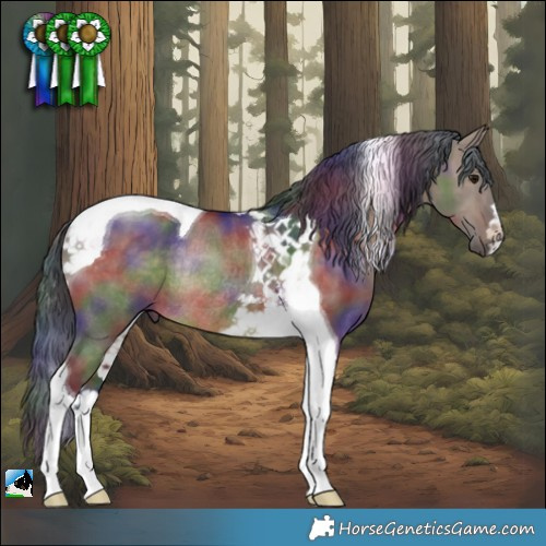 Horse Color:Nacre Brown Dun Tobiano Rabicano 