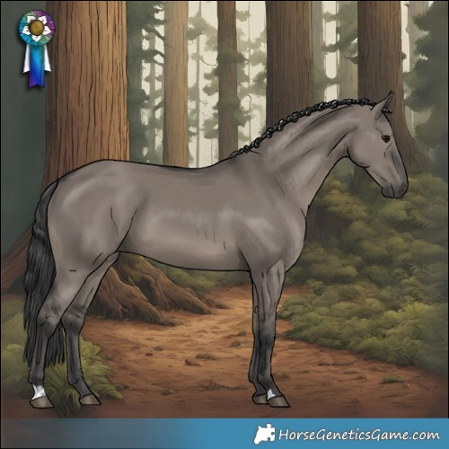 Horse Color:Grullo 