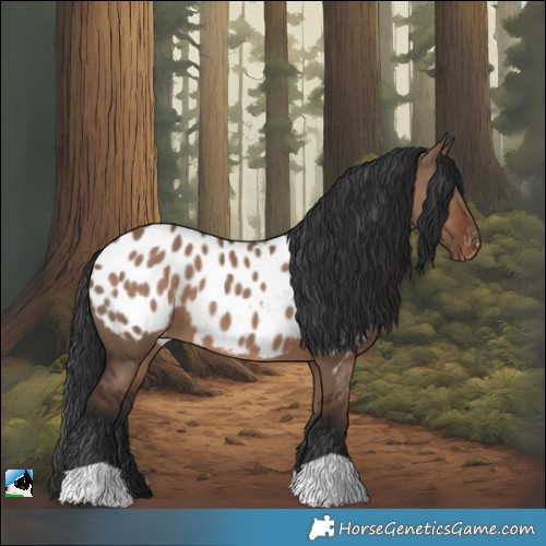 Horse Color:Liver Red Dun Blanket 