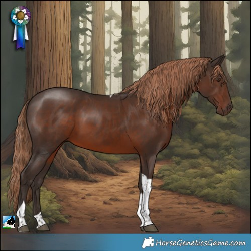 Horse Color:Liver Chestnut Tobiano Rabicano