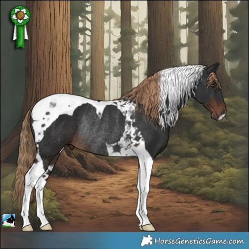 Horse Color:Liver Chestnut Tobiano Rabicano 