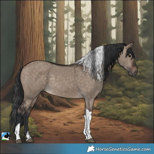 Horse Color:Brown Dun Tobiano Rabicano