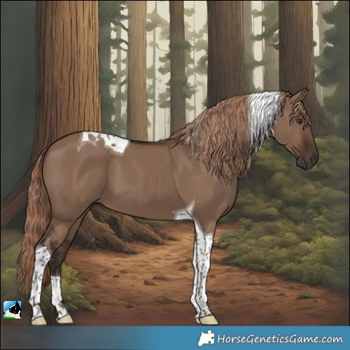 Horse Color:Liver Red Dun Tobiano