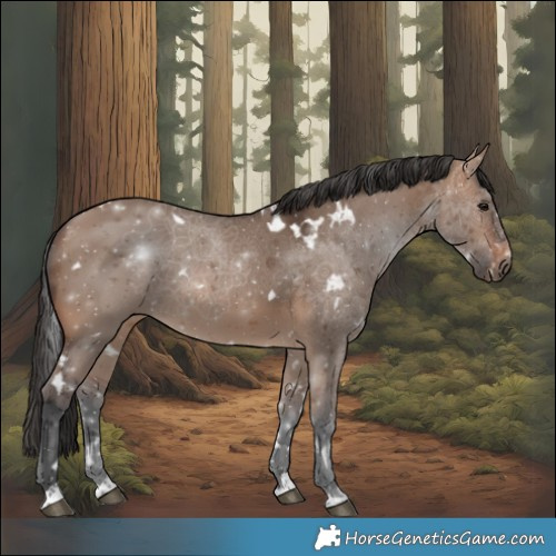 Horse Color:White Spotted Brown Dun