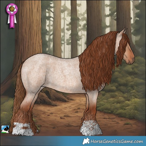 Horse Color:Red Dun Roan